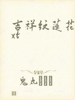 吉祥纹莲花楼txt封面