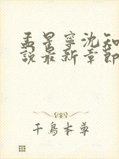 孟星宁沈知聿小说最新章节免费阅读