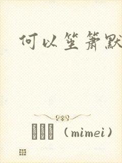 何以笙箫默小说封面