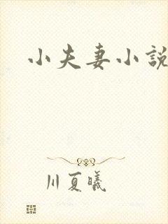 小夫妻小说