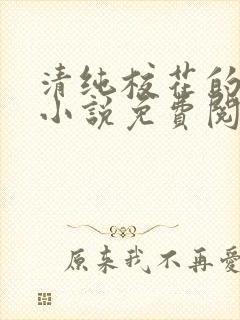 清纯校花的秘密小说免费阅读