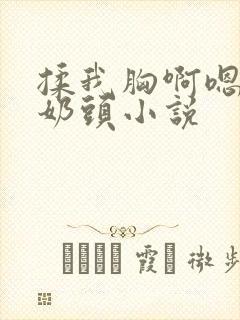 揉我胸啊嗯摸湿奶头小说封面