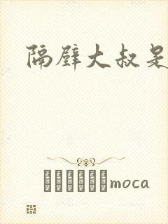 隔壁大叔是饿狼封面