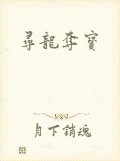 寻龙夺宝