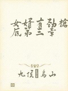 女婿有劲枪枪到底第三章封面