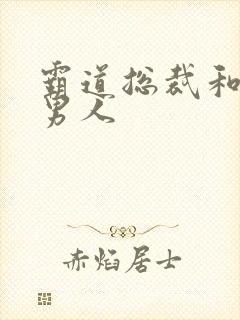 霸道总裁和他的男人封面