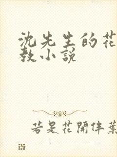 沈先生的花式调教小说