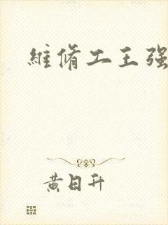 维修工王强张婷