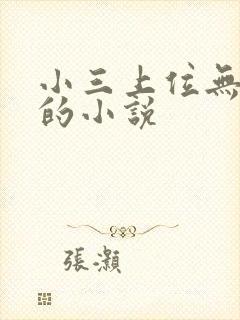 小三上位无三观的小说