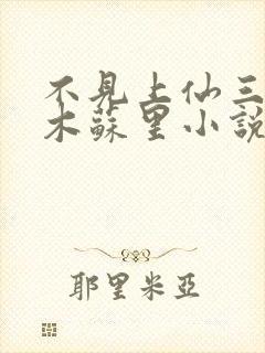 不见上仙三百年木苏里小说免费全集封面