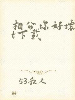 相公你好坏txt下载