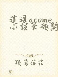 逍遥acome小说笔趣阁在线阅读