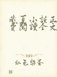 藏夏小说正版免费阅读全文无弹窗封面