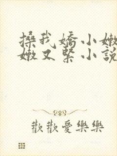 搡我娇小嫩苞又嫩又紧小说封面