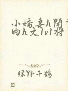小娇妻h开荤粗肉h文1v1将军封面