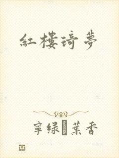 红楼琦梦