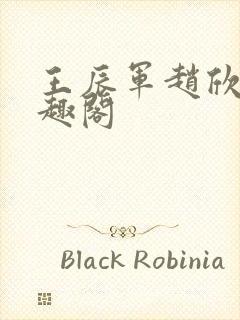 王辰军赵欣雅笔趣阁