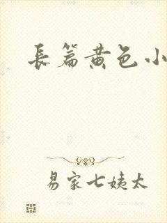 长篇黄色小说封面