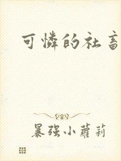 可怜的社畜小说