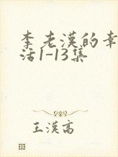 李老汉的幸福生活1-13集