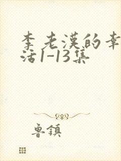 李老汉的幸福生活1-13集