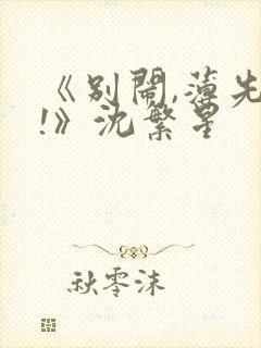 《别闹,薄先生!》沈繁星