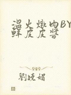 温火炖肉BY海鲜皮皮酱