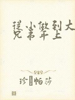 从小做到大骨科兄弟年上