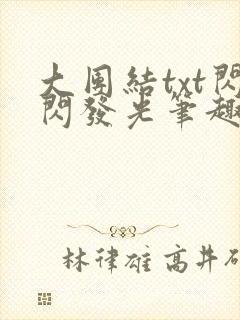 大团结txt闪闪发光笔趣阁