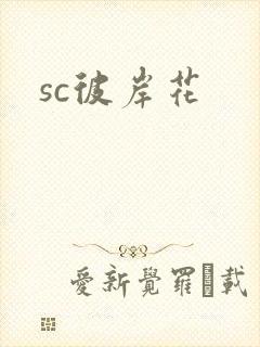 sc彼岸花