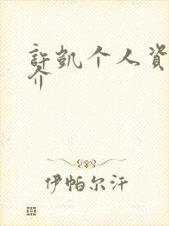 许凯个人资料简介