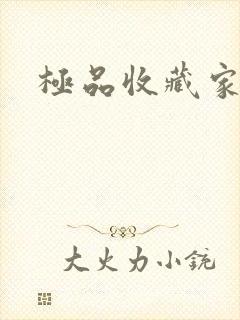 极品收藏家封面