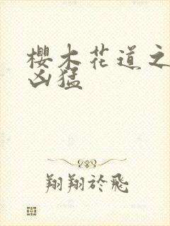 樱木花道之重生凶猛