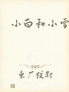 小白和小雪