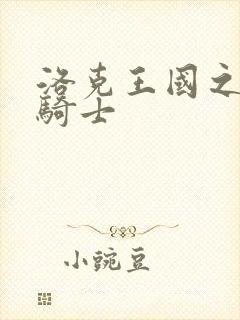 洛克王国之圣龙骑士封面