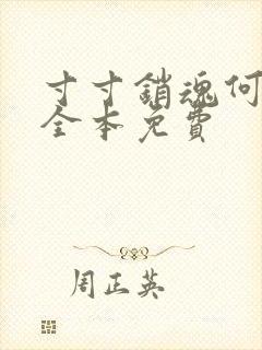 寸寸销魂何生祥全本免费