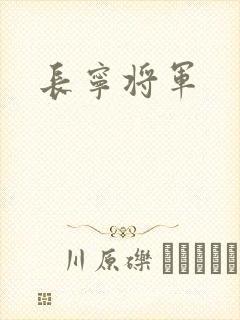 长宁将军封面