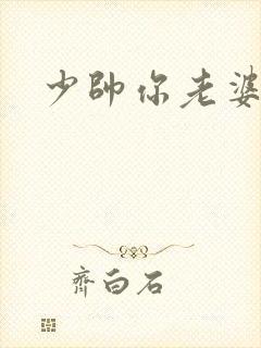 少帅你老婆