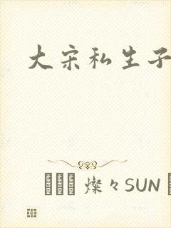 大宋私生子封面