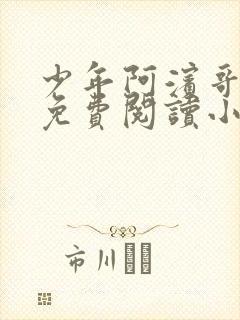 少年阿滨哥全文免费阅读小说封面