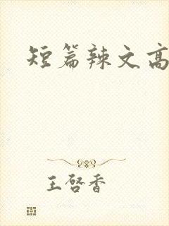 短篇辣文高h