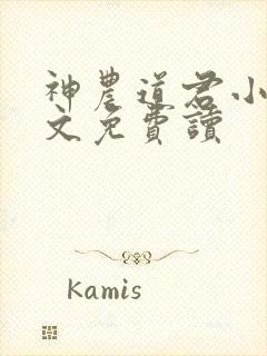 神农道君小说全文免费读