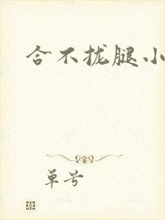 合不拢腿小说