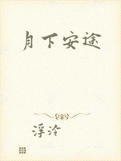 月下安途