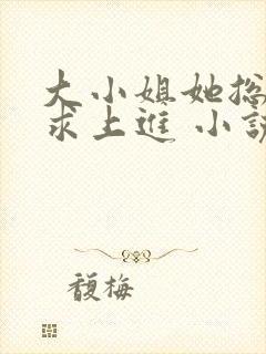 大小姐她总是不求上进 小说封面