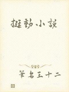 挺动小说