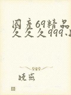 国产69精品久久久久999小说