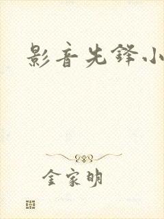 影音先锋小说封面