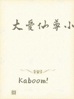 大爱仙尊小说封面