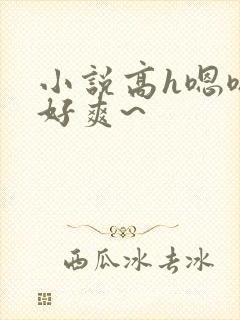 小说高h嗯嗯~好爽~